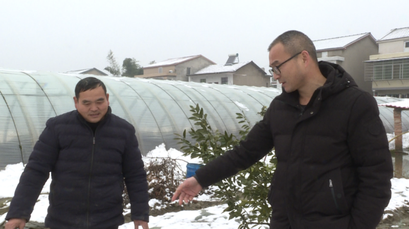 市农业农村局：应对雨雪天气 做好农业生产保障工作
