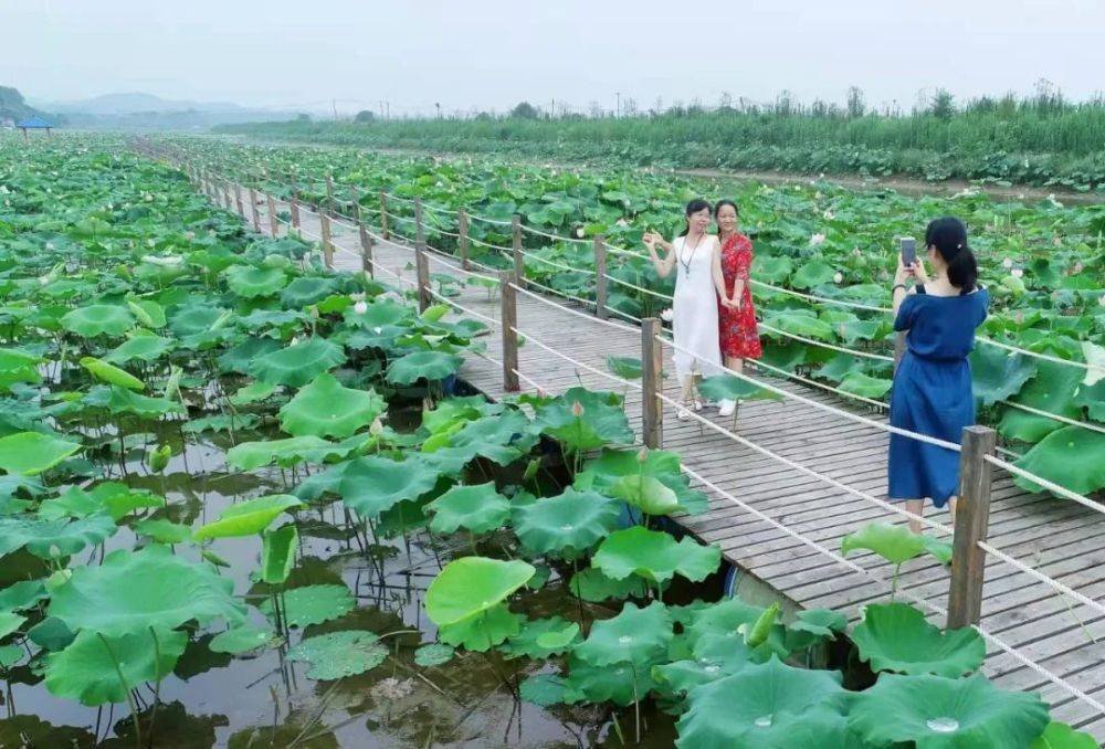 说明: https://inews.gtimg.com/newsapp_bt/0/14540248751/1000