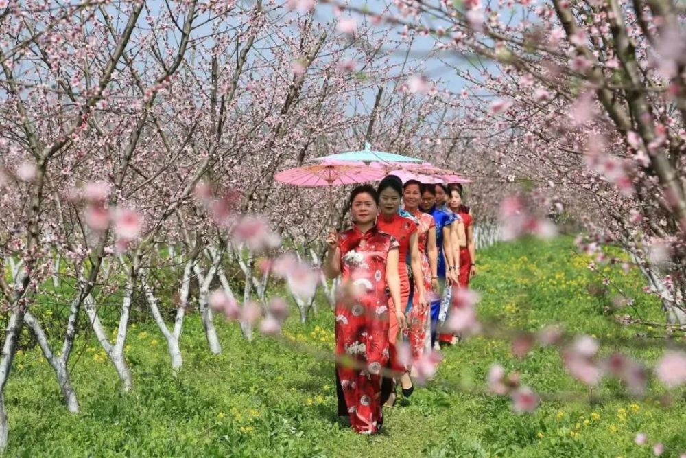 说明: https://inews.gtimg.com/newsapp_bt/0/14540248752/1000