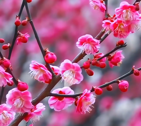 Ȧ佭϶ͥ"ۺ챩"ȦCλ