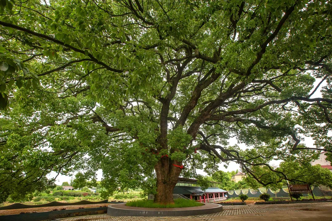 ǻҼ˽ص佭ͽ·ߣƬ޶Ұˣ