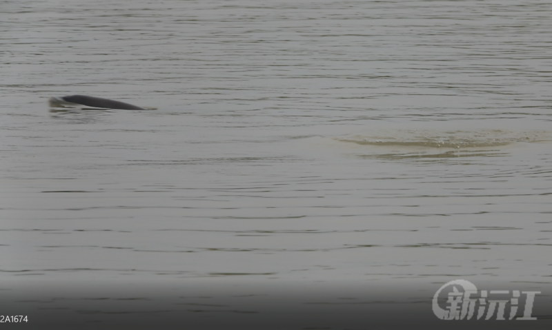 佭϶ͥӭࡰ۹š 15ֻˮдèˮ