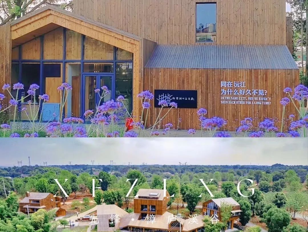 519ح佭淨ͣˮ쭳ľݱ裡ﵱĿ֣