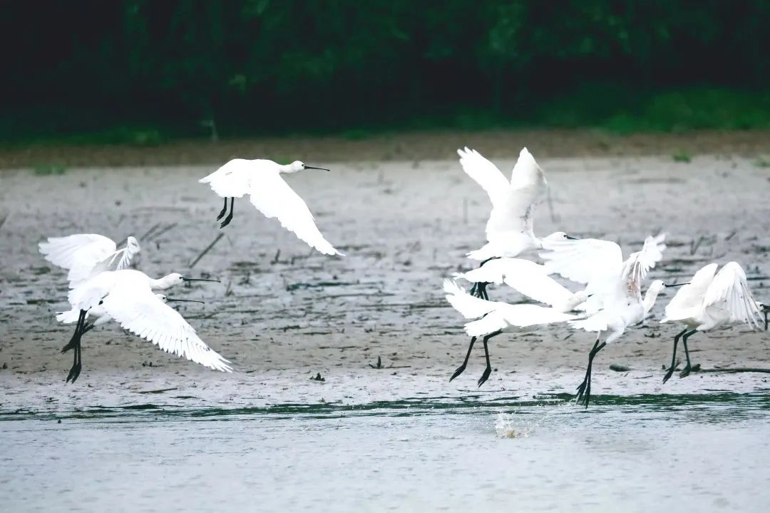 ҵıؼ | ϶ͥˮկս164˷ɵġäС