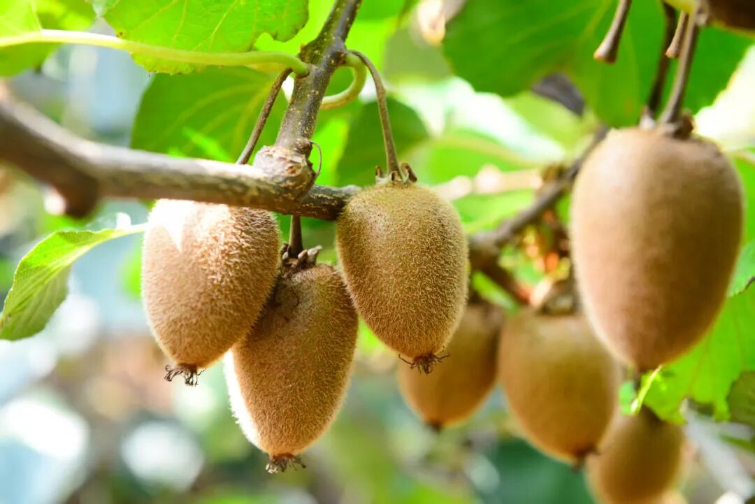 һڱ֭佭֬ȷĶ⨺ҿ԰οŶժ