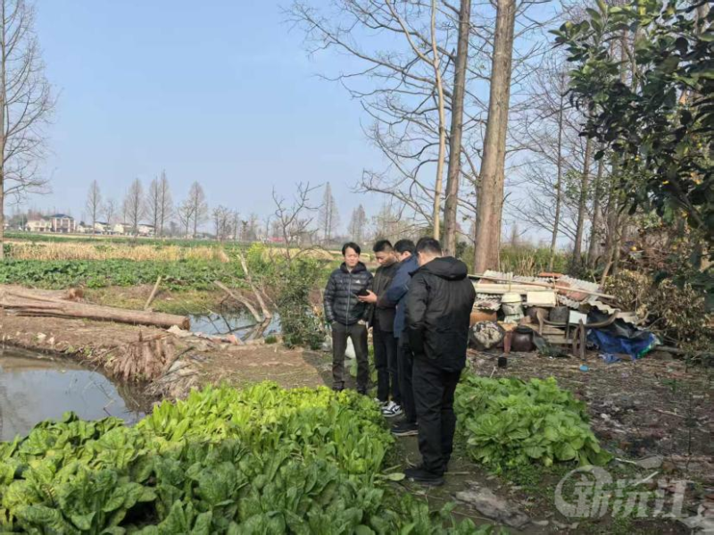 �佭����������Ѳ�������ŷ��� �淶����������