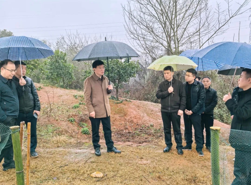 �ޱ�ʤ��չѲ�ֲ�����������