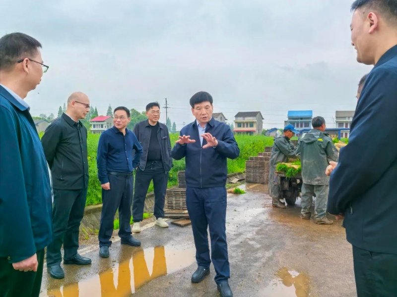 �ޱ�ʤ�����絾����